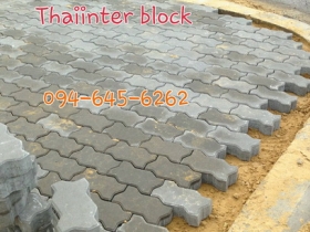 บล็อกตัวหนอน บล็อกแปดเหลี่ยม บล็อกปูหญ้า แผ่นทางเท้า