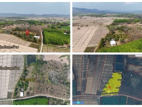 ขายที่ดินเปล่าพร้อมสิ่งปลูกสร้าง ทำเลบ้านจำปู ต.เจริญเมือง อ.พาน