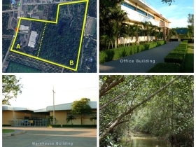 ขายโรงงาน และ สวนป่าเบญพรรณ อายุ 25 ปี อ.เขาชะเมา จ.ระยอง