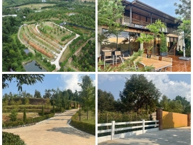 ขายสวนทุเรียน ขั้นบันได พร้อมบ้านตากอากาศ บนเขา พร้อมโฉนด!