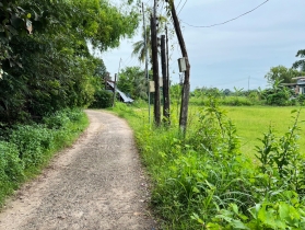 ขายด่วนนน ที่ดินสวย ทำเลดี ตัวเมืองศรีสะเกษ 5 ไร่