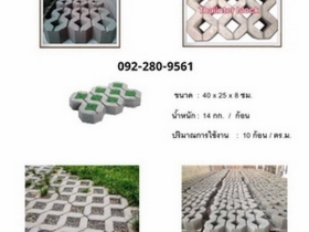 บล็อกตัวหนอน บล็อกแปดเหลี่ยม บล็อกปูหญ้า แผ่นทางเท้า