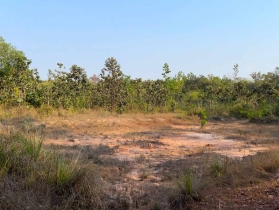 ขายที่ดินอุบลฯ อ.พิบูลมังสาหาร โคตรถูก เพียง 800,000 บาท 5 ไร่