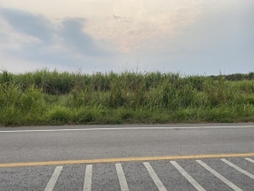 ขายที่ดิน เนื้อที่ 29 ไร่ เกาะจันทร์ จังหวัดชลบุรี