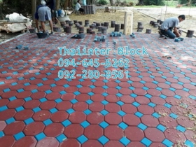 บล็อกตัวหนอน บล็อกแปดเหลี่ยม บล็อกปูหญ้า แผ่นทางเท้า